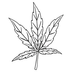 simplicity cannabis leaf freehand drawing flat design.