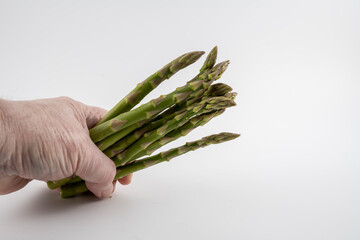 vegetable picker holding a freshly harvested bunch of asparagus spears isolated on a white...