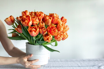 Bouquet of orange tulips in female hands in the interior of the room, close-up.