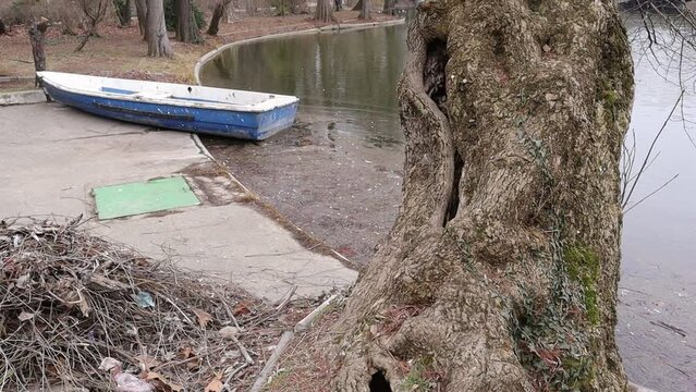 Boat on a Lake, Trees in a Park, Nature Outdoors