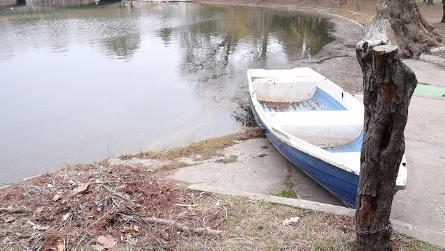 Boat on a Lake, Trees in a Park, Nature Outdoors