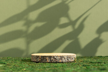 Wooden slice podium on moss on a green background with leaves shadows. Premium empty scene for product promotion, beauty, natural eco cosmetic. Showcase, display case.