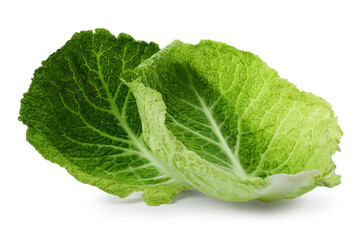 Obraz premium Fresh leaves of savoy cabbage on white background