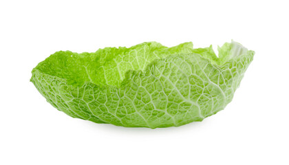 Fresh leaf of savoy cabbage isolated on white