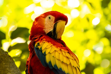 Honduras Karibik