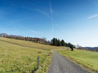 Gersbach (Schopfheim) in the southern Black Forest. Scenic trail to natural bison enclosure at the...