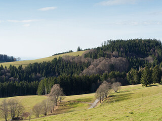 Gersbach (Schopfheim) in the southern Black Forest. Small winding mountain road from the village to...