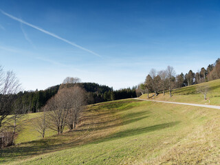 Gersbach (Schopfheim) in the southern Black Forest. Weg from the village zum Hörnle und...