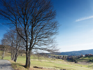 Gersbach (Schopfheim) in the southern Black Forest. Scenic trail between hill and pastures above the village and at the foot of the Rohrenkopf mountain
