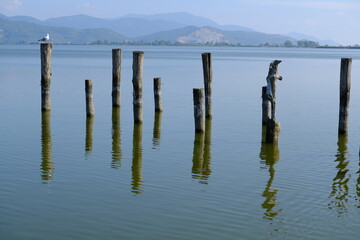 Reflections on the water. Puccini Lake Tower.Panorama of Lake Massaciuccoli with marsh vegetation and reflections on the water. Torre del Lago Puccini, Viareggio.