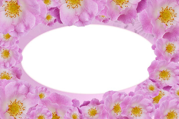 white ellipse on yellow pollen on pink rose flowers background, nature, card, valentine, love, banner, template, copy space