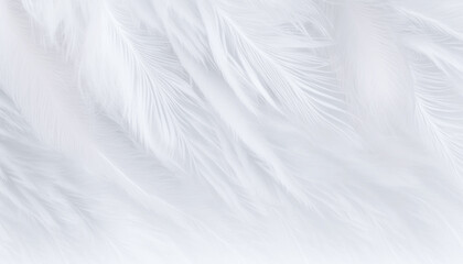 feather texture white background, generative ai