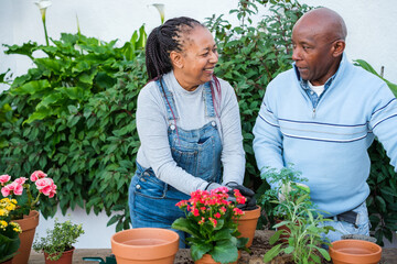 Senior man and woman keeping beautiful garden and flowers in their home together. Concept: Flower care, gardening, lifestyle