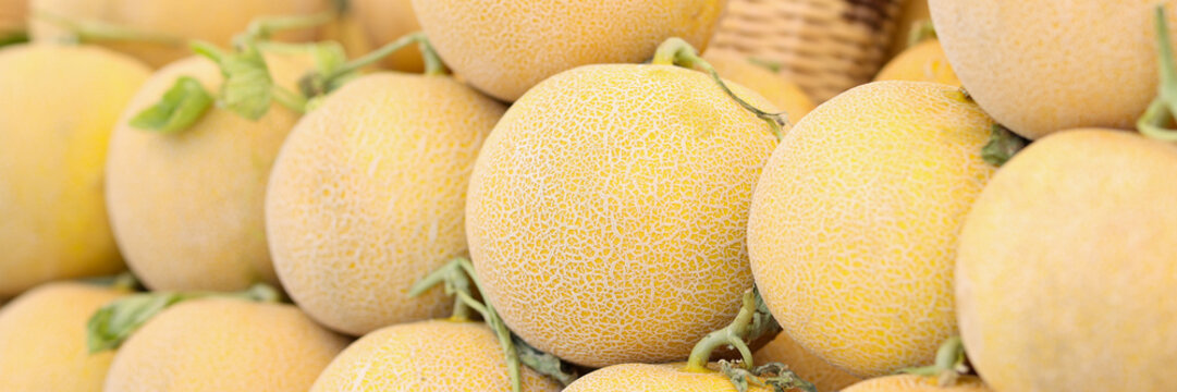 Melonendessert Bilder – Durchsuchen 151,370 Archivfotos, Vektorgrafiken ...