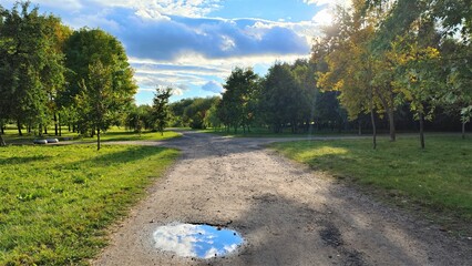 After the rain a puddle formed on the dirt path in the city park and a blue sky with clouds reflected in it. On the grassy lawns grow maples, lindens, and willows. 