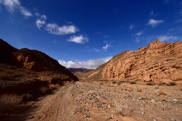 Fototapeta na wymiar Sunny day. The road to the Kok-Moinok canyons in the Tien Shan mountains.