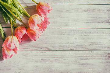  mother's day, spring tulips in sunlight on a wooden background. early spring, women's day