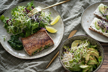 Grilled salmon fillet and fresh vegetable salad. Mediterranean diet.