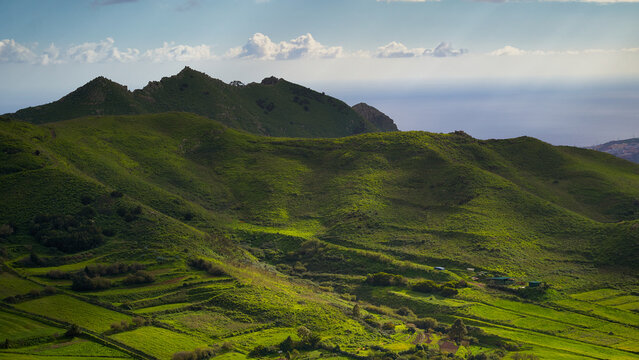 Paisaje iluminado por el sol con praderas verdes