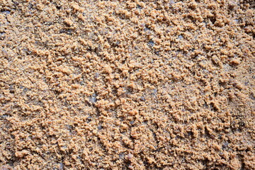 Organic dried sugarcane jaggery powder