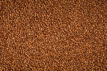 Close-up photo of buckwheat grain as a natural vegan food background and texture