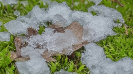 Macro time-lapse shot of shiny melting snow particles