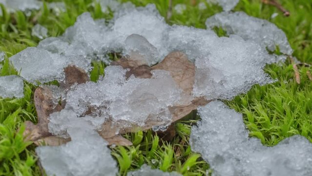 Macro time-lapse shot of shiny melting snow particles