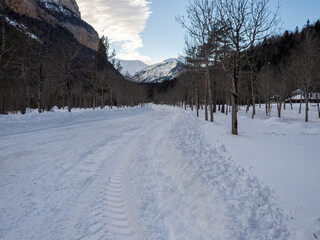 Beautiful winter panorama with fresh powder snow. Landscape with fir trees, blue sky with sunlight and high alpine mountains in the background The beautiful winter landscape with trees covered with ho