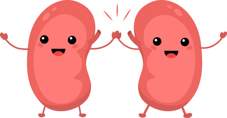kidneyCharacters of sad and happy kidneys. Vector illustration