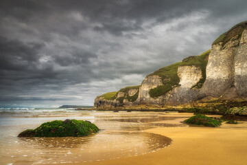Rocks covered in seaweed and limestone rock formations on White Rocks Beach, Causeway Coast, Wild Atlantic Way, County Antrim, Northern Ireland