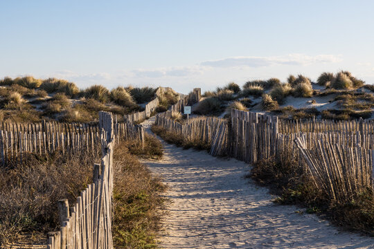 Cheminement &agrave; travers les dunes de sable vers la plage du Petit Travers &agrave; Carnon