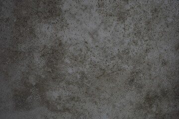 Mold on wall textured background