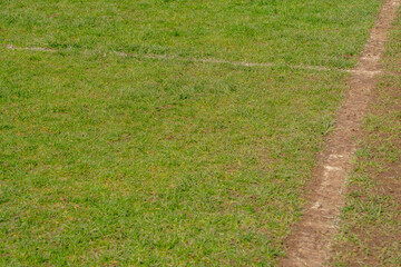 soccer pitch grass with faint line