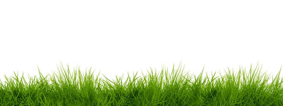 Spring Green Grass Border png Cut Out Illustration on Transparent Background with Copy Space