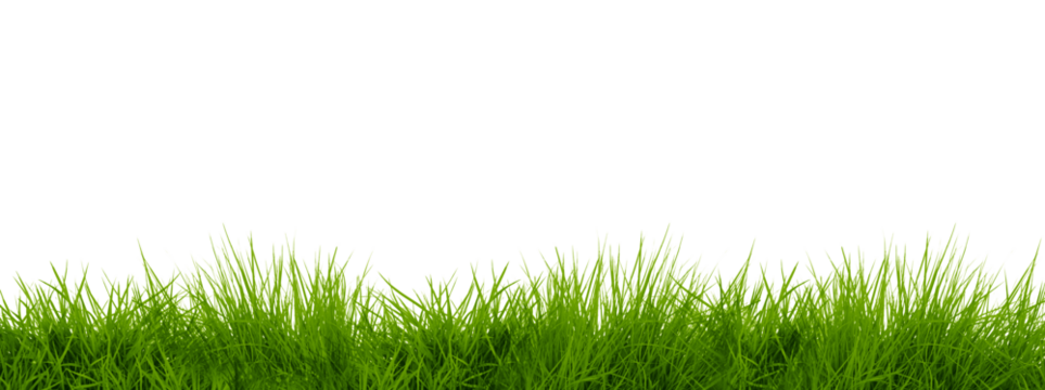 Spring Green Grass Border png Cut Out Illustration on Transparent Background with Copy Space