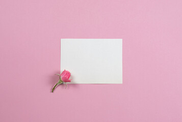 Pink rose with white sheet paper postcard on pink background mockup for greeting