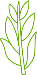 green leaves and branch line illustration