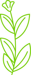 decorative leaves and plant line illustration