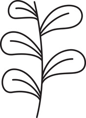 decorative leaves and plant line illustration