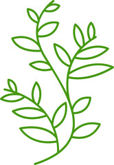 leaves and branch line illustration
