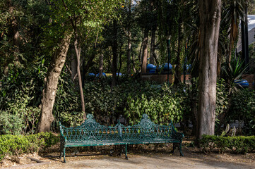 Fototapeta premium bench in the park in mexico city 