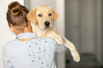 Girl holding her labrador puppy on her shoulder with a sad look, soft focus