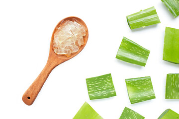 Aloe vera is a popular medicinal plant for health and beauty, on a white.