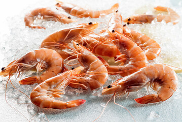 Group of Argentinian Prawns on a background of crushed ice