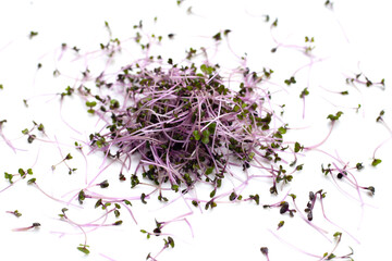 Obraz na płótnie Canvas Organic red cabbage sprouts on white background.