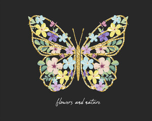 butterfly illustration