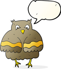 speech bubble cartoon owl
