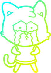 cold gradient line drawing cartoon crying cat