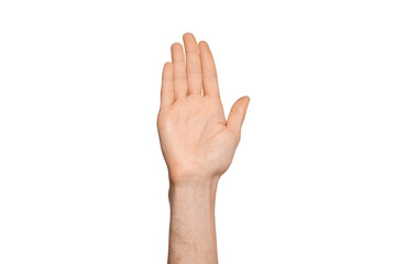 A man's hand is raised up, in the frame is a palm, fingers are closed. Isolate