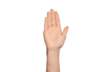 A man's hand is raised up, in the frame is a palm, fingers are closed. Isolate